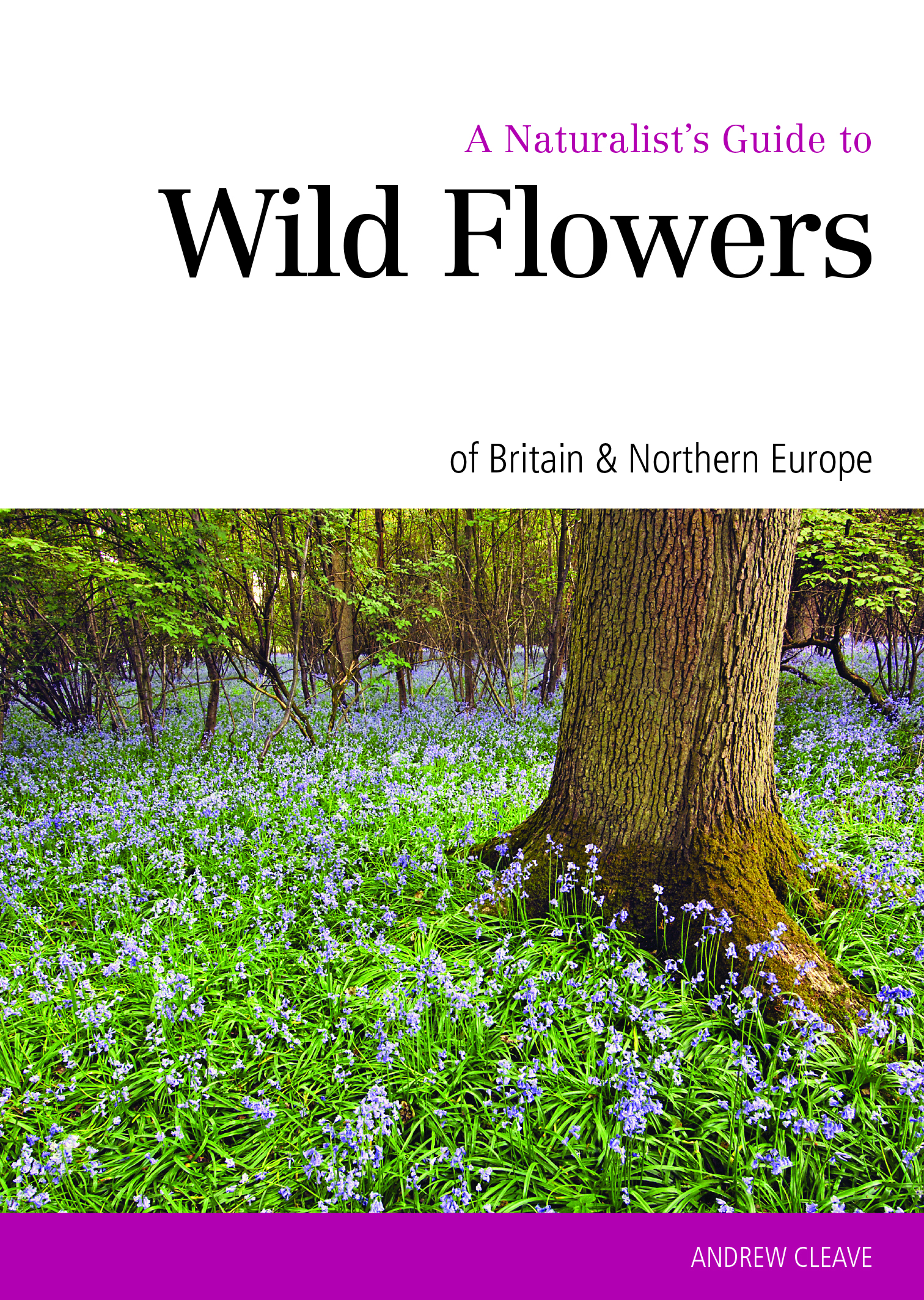 A Naturalist’s Guide to the Wild Flowers of Britain & Northern Europe