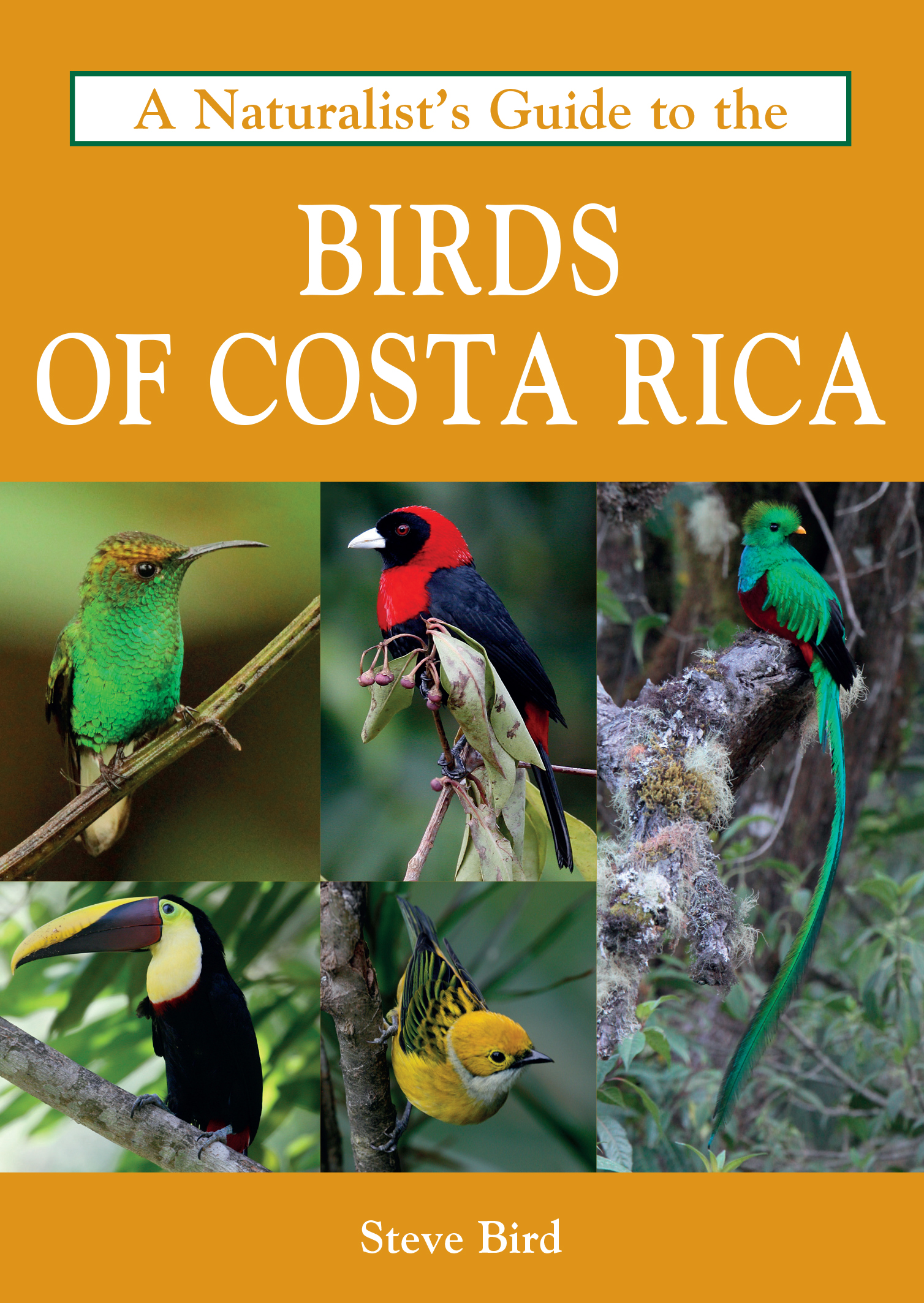 a-naturalist-s-guide-to-the-birds-of-costa-rica-john-beaufoy-publishing