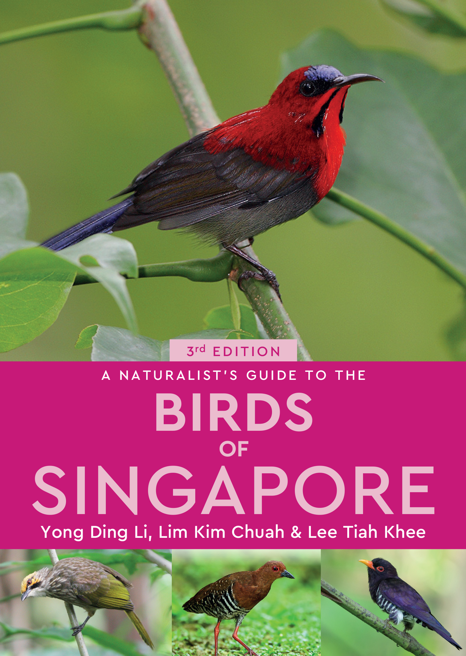 A Naturalist's Guide To The Birds Of Singapore - JB Publishing