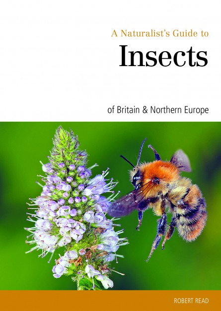 A Naturalist's Guide to the Insects of Britain & Northern Europe - John ...