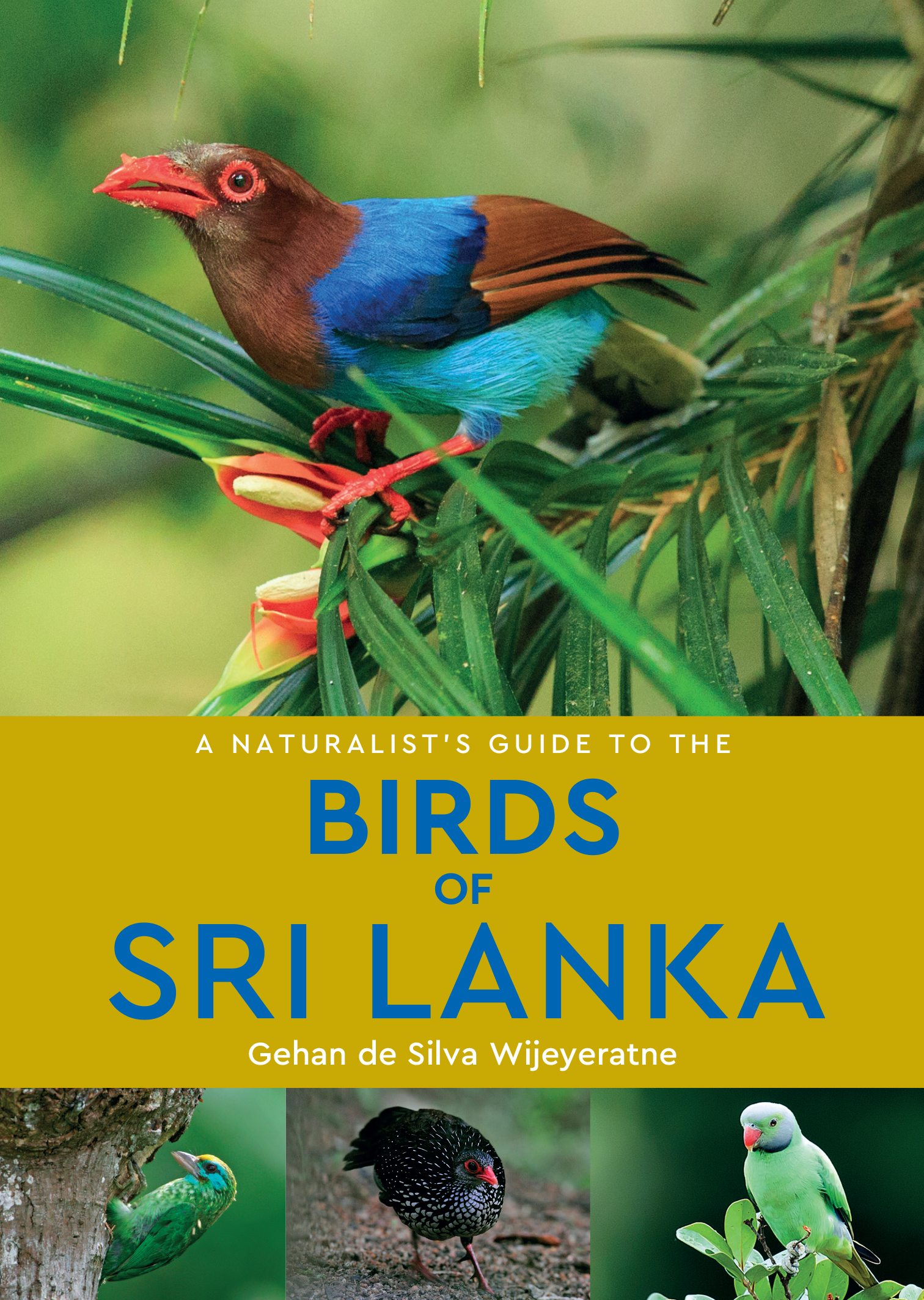 A Naturalist's Guide to the Birds of Sri Lanka - JB Publishing