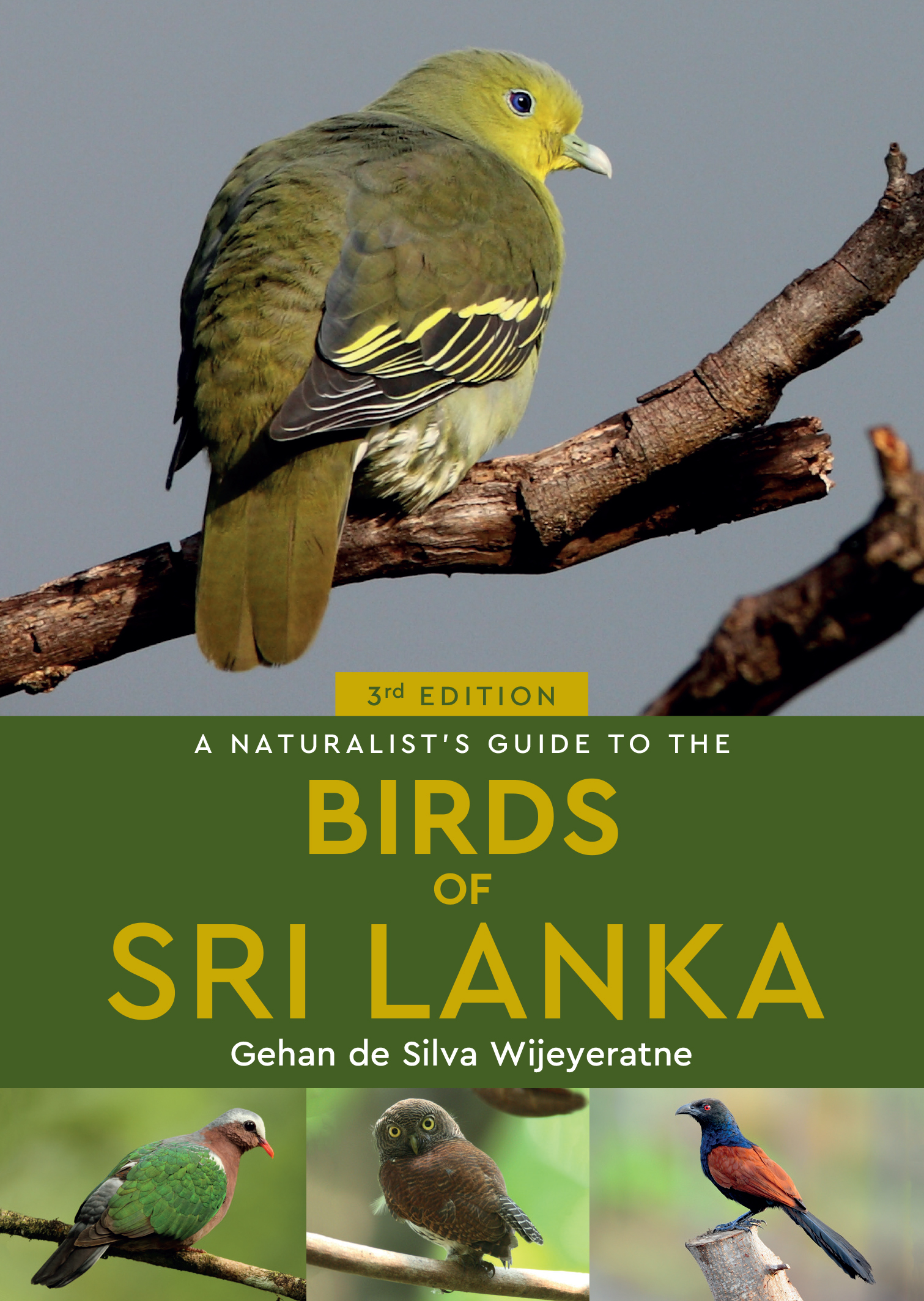 A Naturalist's Guide to the Birds of Sri Lanka - JB Publishing