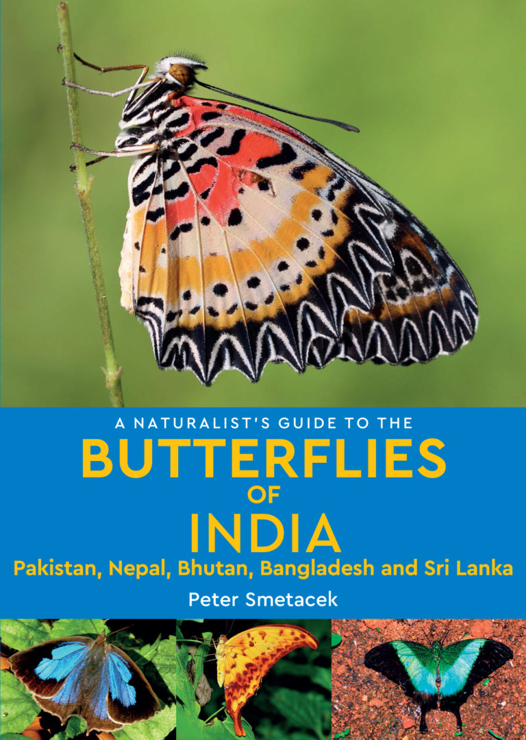 a-naturalist-s-guide-to-the-butterflies-of-india-jb-publishing