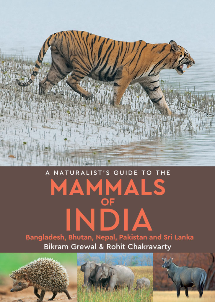 A Naturalist's Guide to the Mammals of India - JB Publishing