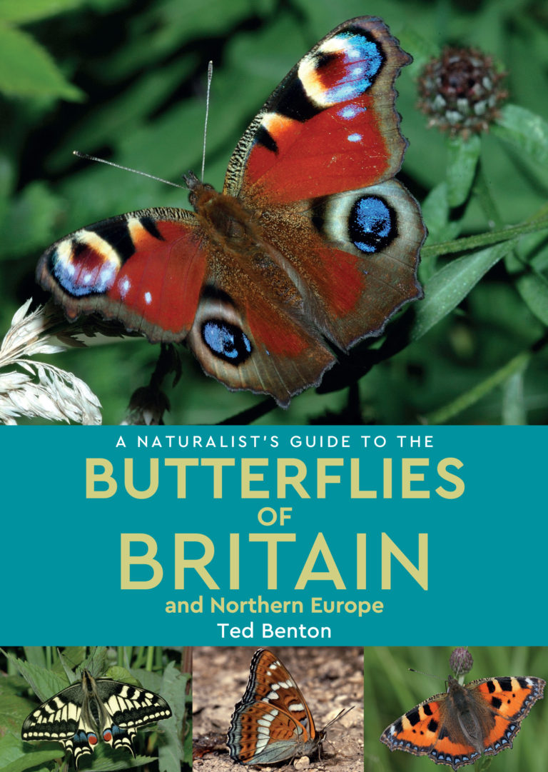 A Naturalist's Guide To The Butterflies Of Britain & N. Europe