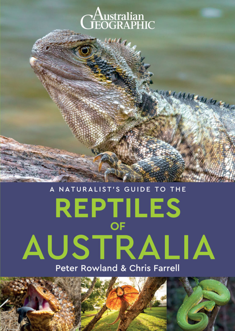 A Naturalist's Guide to the Reptiles of Australia (2nd)