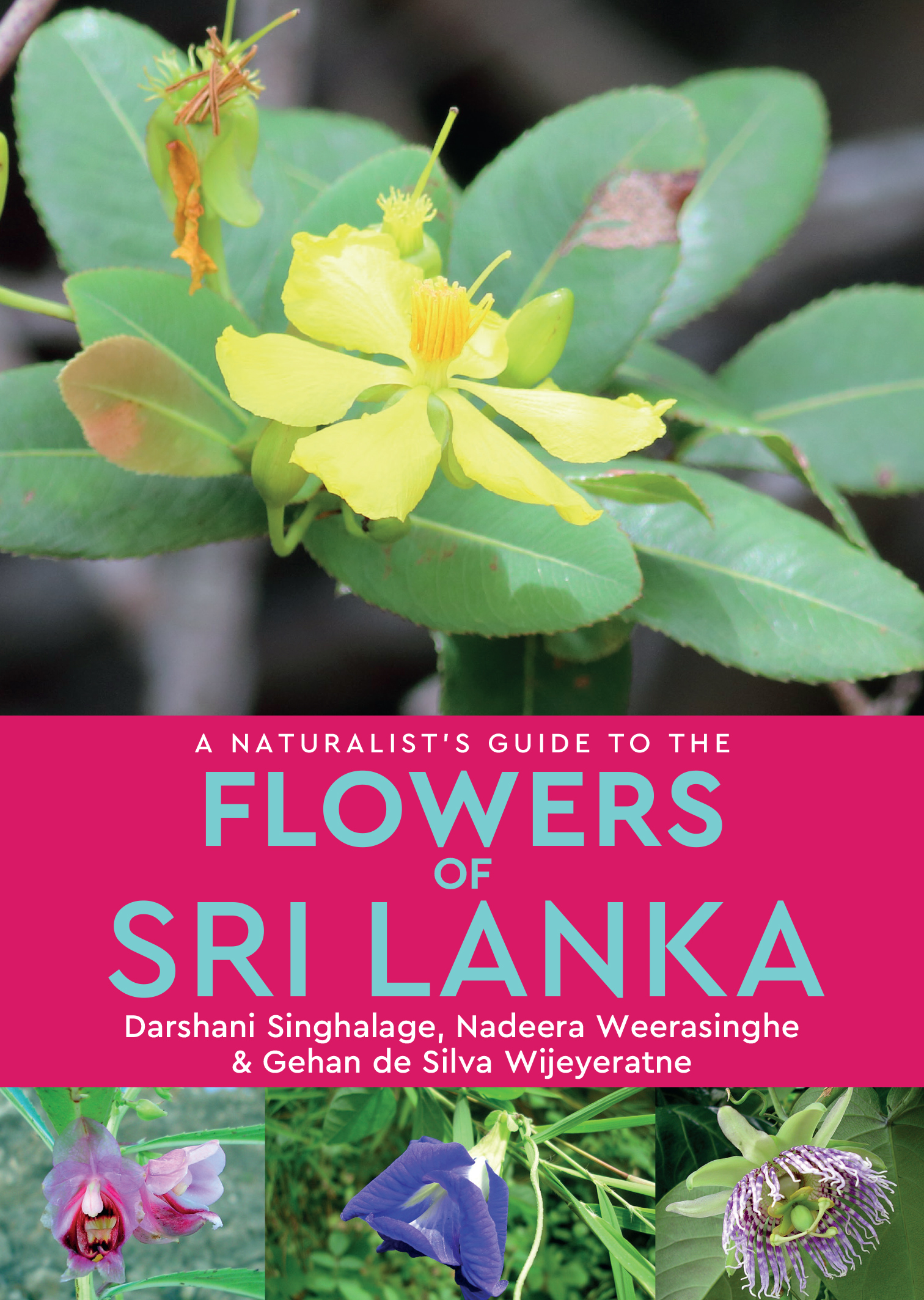 Guide To The Flowers Of Sri Lanka