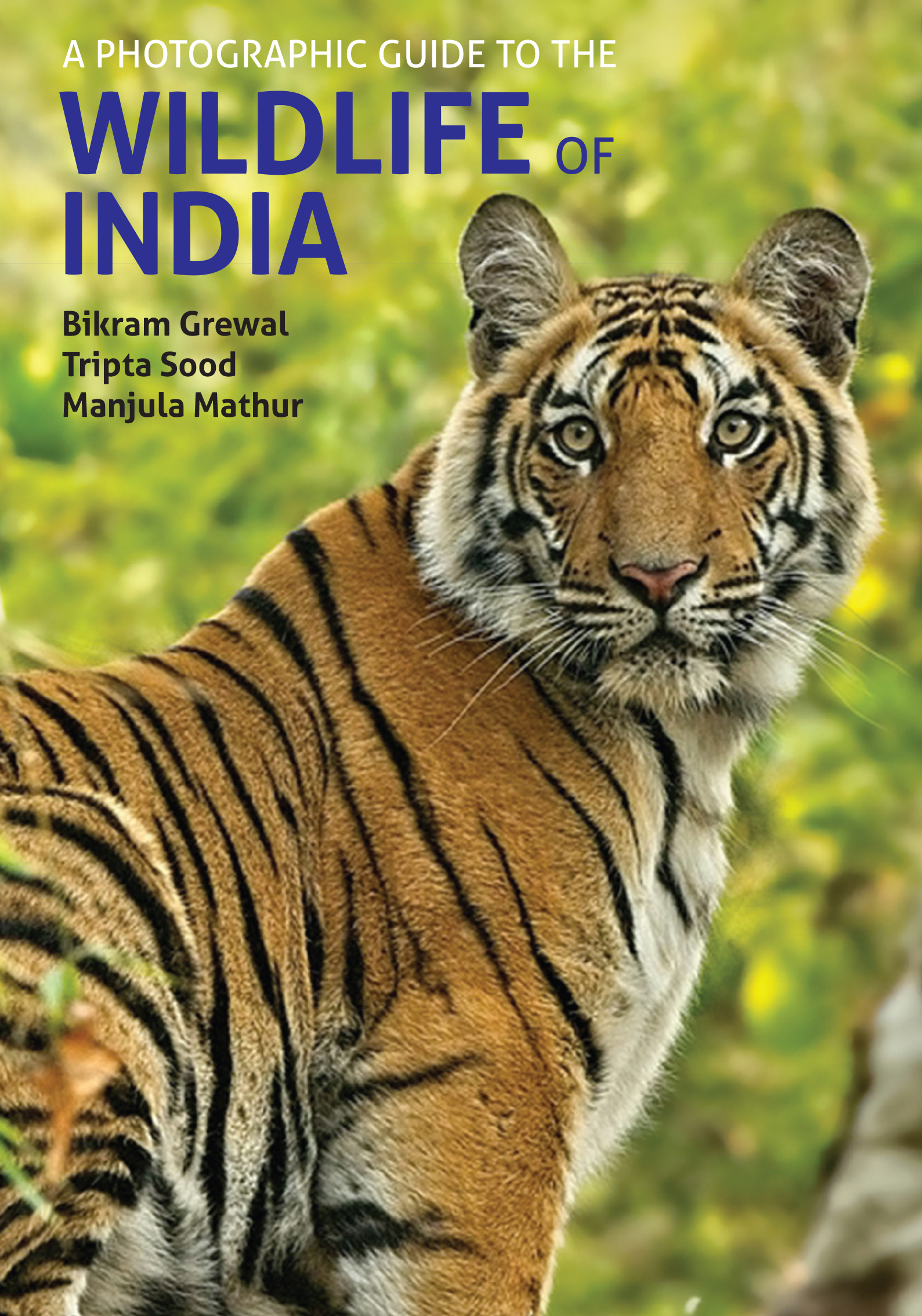 essay on wildlife of india