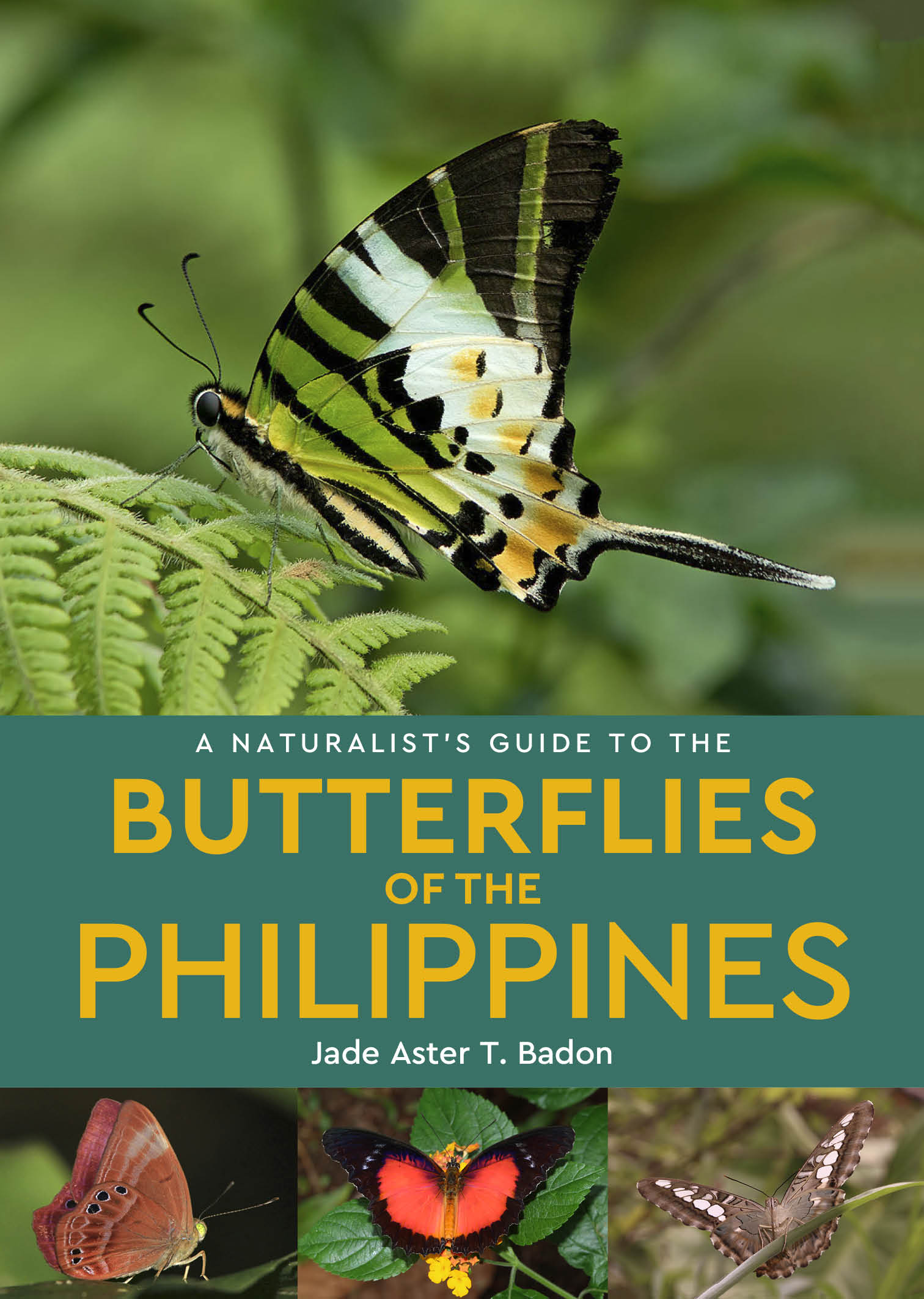 A Naturalist's Guide to the Butterflies of the Philippines JB Pub