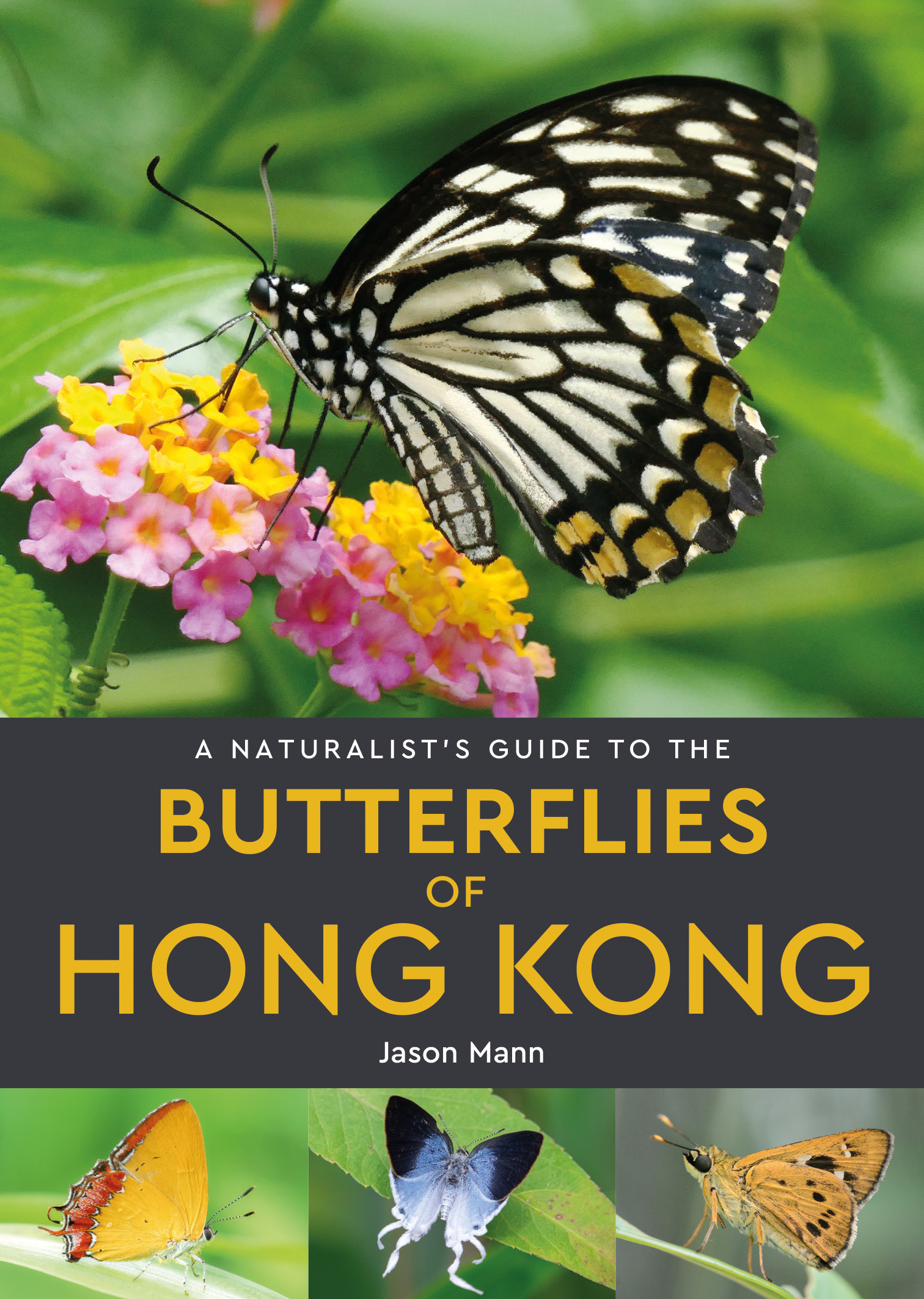 A Naturalist's Guide to the Butterflies of Hong Kong - JB